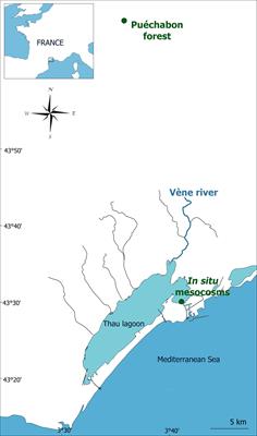 Effects of an experimental terrestrial runoff on the components of the plankton food web in a Mediterranean coastal lagoon